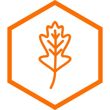 Yaprak ikonu vektör illüstrasyonu