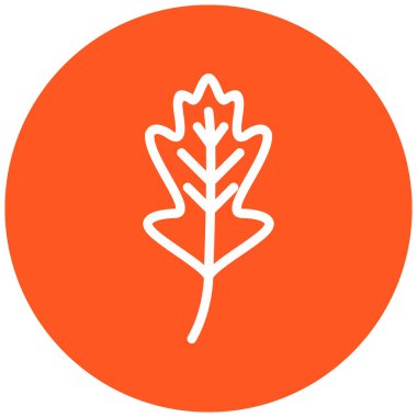 Yaprak. Web simgesi basit illüstrasyon