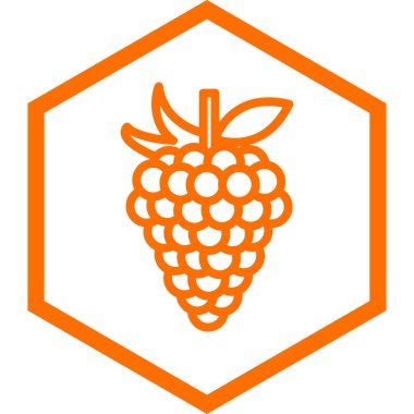 Bir ahududu simgesinin vektör çizimi