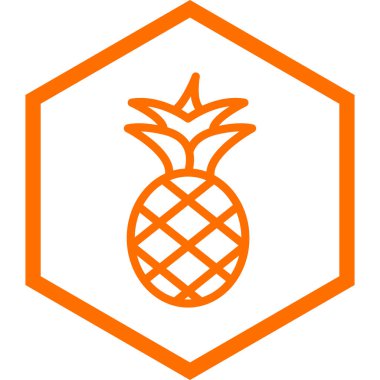 ananas ikonu vektör illüstrasyonu