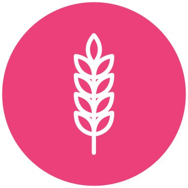 Buğday ve tohumların vektör çizimi