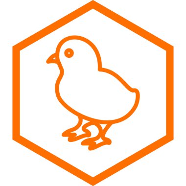 Tavuk. Web simgesi basit illüstrasyon