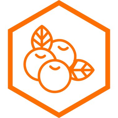 turuncu çizgi meyve ikonu beyaz arkaplanda izole edilmiş. vektör illüstrasyonu