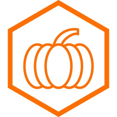 kabak ikonu vektör illüstrasyonu