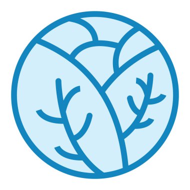 lahana simge vektör çizim 