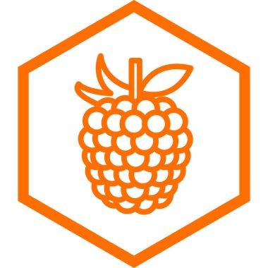 ananas ikonu vektör illüstrasyonu