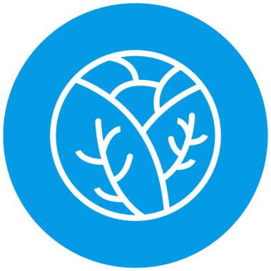 Lahana modern ikon vektör illüstrasyonu