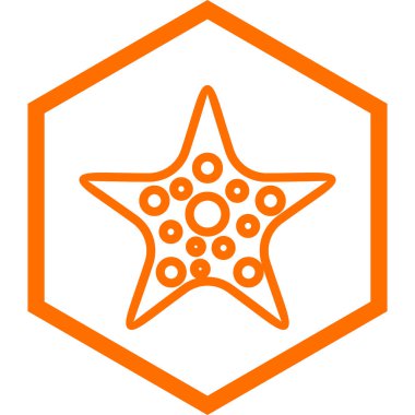 deniz yıldızı ikonu vektör çizimi