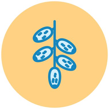 Çiğ kahve çekirdeği simgesi, vektör illüstrasyonu basit tasarım