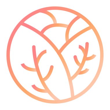 Lahana modern ikon vektör illüstrasyonu