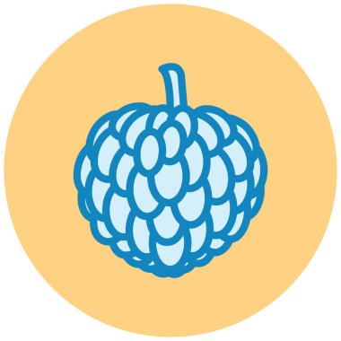 egzotik meyve simgesi, vektör illüstrasyonu basit tasarım