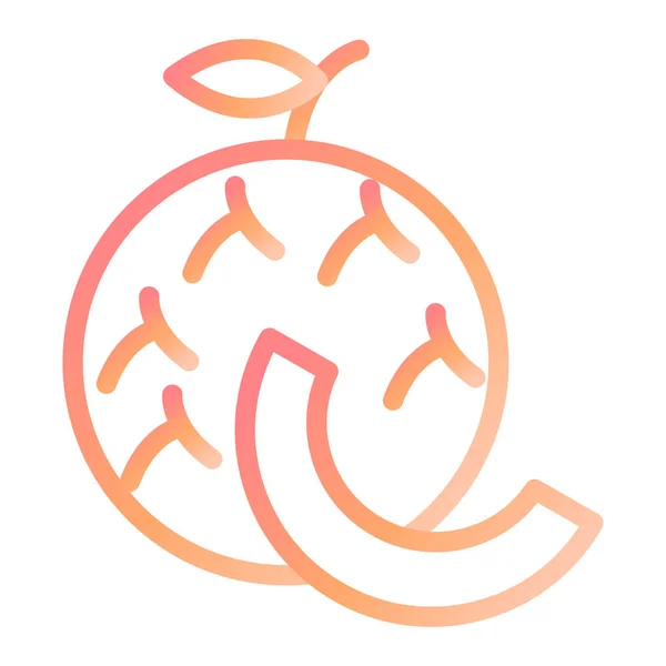 Cantaloupe Modern Icon Vector Illustration — Stock Vector