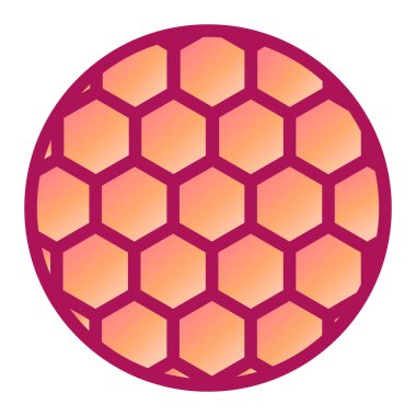 Bal peteği ve arı logosunun vektör çizimi. Ağ için böcek koleksiyonu ve tatlı stok sembolü.