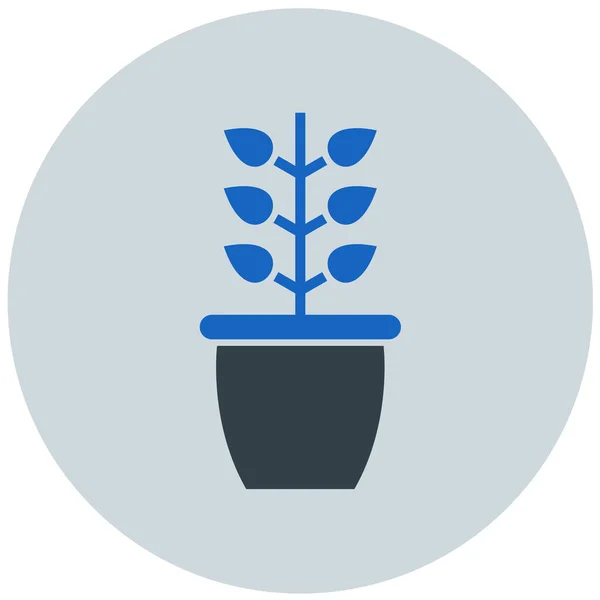 Vaso Plantas Com Folhas Design Ilustração Vetorial —  Vetores de Stock