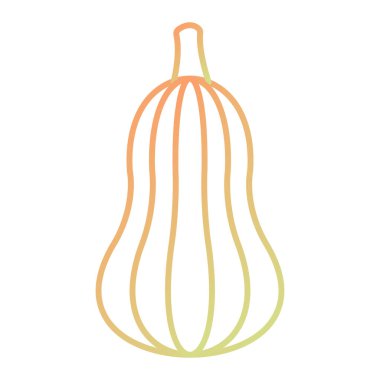 fresh pumpkin icon. cartoon illustration of pumpkin vector icons for web