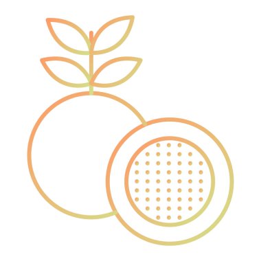 taze meyve vektörü illüstrasyon grafik tasarımı