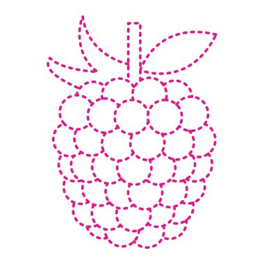 raspberry fruit icon. vector illustration