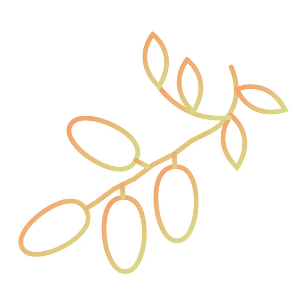 Olive Branch Leaves Isolated Icon Vector Illustration Design — Stock vektor
