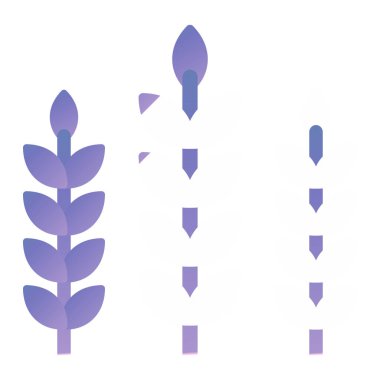 Renkli oklar kümesinin vektör çizimi