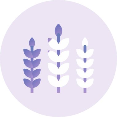 Wheat web icon vector illustration