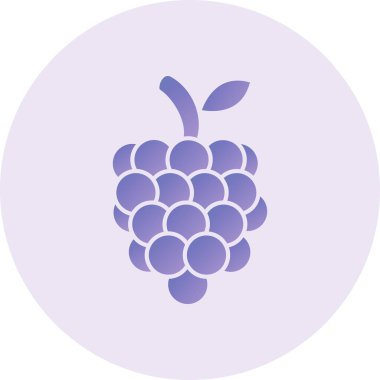 raspberry icon, simple illustration graphic design