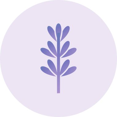 simple web illustration of Lavender flower