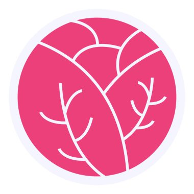 Cabbage Vector lyph Icon Design