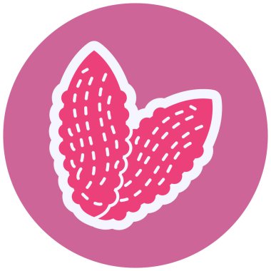 Bitterourd simgesinin vektör illüstrasyonu