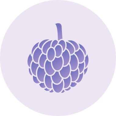 Custard Apple Vector lyph Icon Design