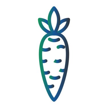 havuç vektör çizim