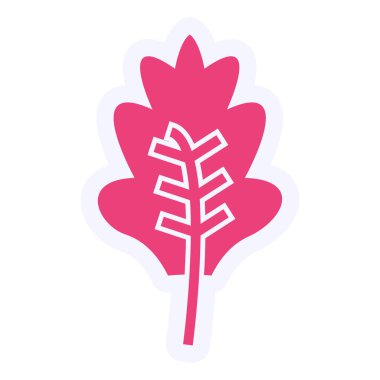 flat color style vector illustration of Kale 