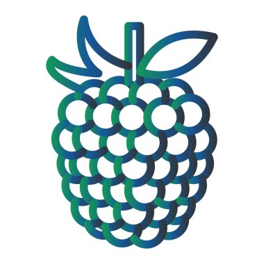 raspberry icon, simple illustration graphic design