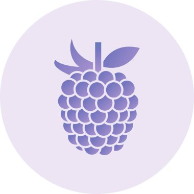 raspberry icon, simple illustration graphic design