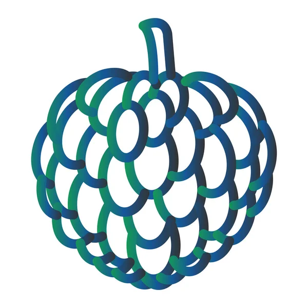 Custard Apple Vector lyph Icon Design