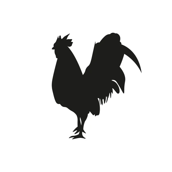 Bir horozun illüstrasyon vektörü, uçucu tasarımı, web tasarımı veya bir nesne yerleştirmek için çok uygundur, ya da sadece bir vektör koleksiyonu, ayrıca hayvan veya mutfak temalı tasarımlar için de uygundur.