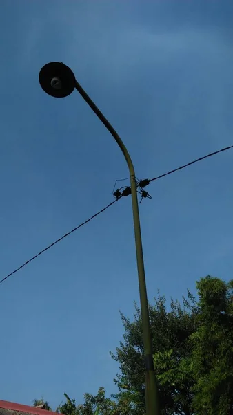 Street Light Morning Blue Sky — Stock Photo, Image