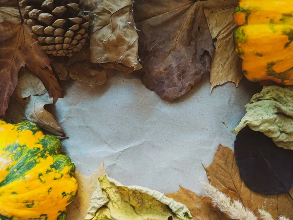 秋天的黄色背景 云杉作为自然的框架特写 秋收概念 — 图库照片