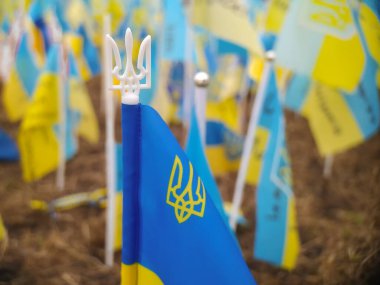flags of Ukraine as a symbol of the independence of the Ukrainian people. action in support of Ukraine