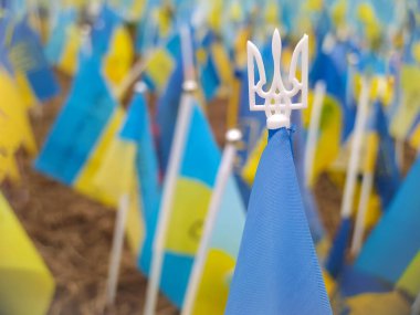flags of Ukraine as a symbol of the independence of the Ukrainian people. action in support of Ukraine