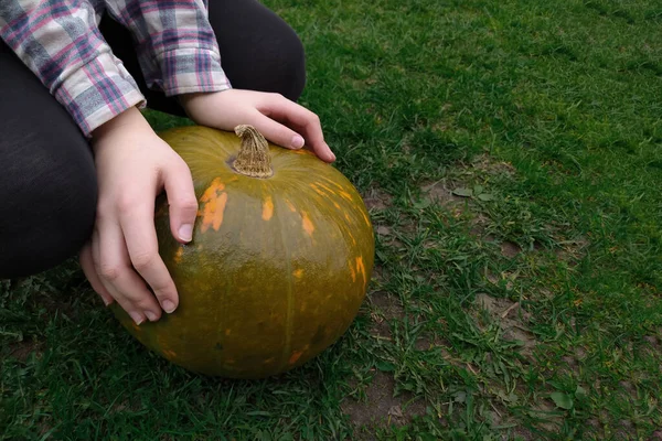 一个成熟的大南瓜落在了一个小女孩的手里 小女孩的手把一个成熟的南瓜放在花园里的青草上 收获和园艺概念 — 图库照片