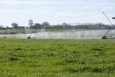 Bir tarla dolusu mahsulü sulayan bir sulama dönüşü