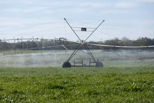 Bir tarla dolusu mahsulü sulayan bir sulama dönüşü