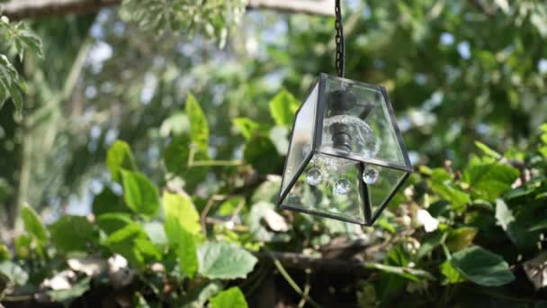 En vacker kristalllampa hänger mot en bakgrund av gröna växter och en flygande fjäril i solens strålar. Vacker vintage glas lykta närbild på bakgrunden av tropisk vegetation. — Stockvideo