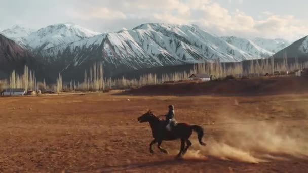 Naryn, Kirgizstan - 4 de abril de 2019: Un niño monta un caballo a través de un valle contra las montañas. Un vuelo aéreo dinámico de un jinete a caballo, galopando y dejando tras de sí nubes de polvo — Vídeo de stock