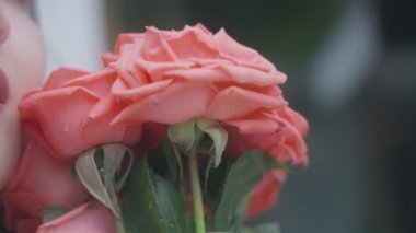 Yüzünün yanında bir buket kırmızı gül ve şeffaf bir bardak tutan bir kızın gülümsemesi. Hayatındaki önemli bir olay sırasında duygusal bir kadının gülümsemesi. Ağır çekim. 4k