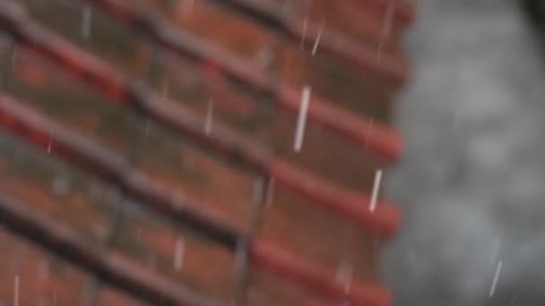 Kraftigt regn på bakgrunden av ett tak med röda kakel och pölar på asfalten med cirklar från fallande droppar i defocus. Närbild av regndroppar faller i slow motion 120 fps. Regnsäsong i Asien — Stockvideo