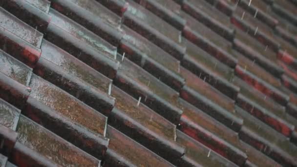 Un primer plano de un azulejo rojo vintage en el que fluyen arroyos de agua y gotas de lluvia caen durante el día. fragmento del techo de una casa en aguacero torrencial en cámara lenta 120 fps. Lluvias tropicales — Vídeos de Stock