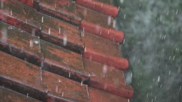 En närbild av en vintage röd kakel som strömmar av vatten flöde och regndroppar faller under dagtid. fragment av taket på ett hus i torrentiell skyfall i slow motion 120 fps. Tropiskt skyfall — Stockvideo