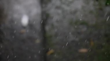 Fosforlu su birikintilerinin üzerine düşen yağmur damlalarının yakın plan görüntüsü. Su birikintilerinde süzülen güçlü tropikal yaprak ağaçları. Ağır çekim. 4K