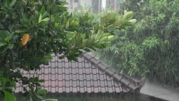 El techo marrón de la casa c y el árbol verde bajo la lluvia tropical torrencial. Un hermoso disparo con fuertes aguaceros durante el día. Entorno urbano. Temporada de lluvias en Indonesia en la isla de — Vídeos de Stock